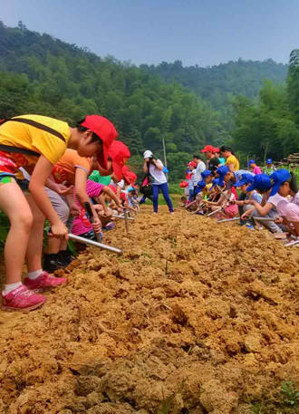 学农下乡计划