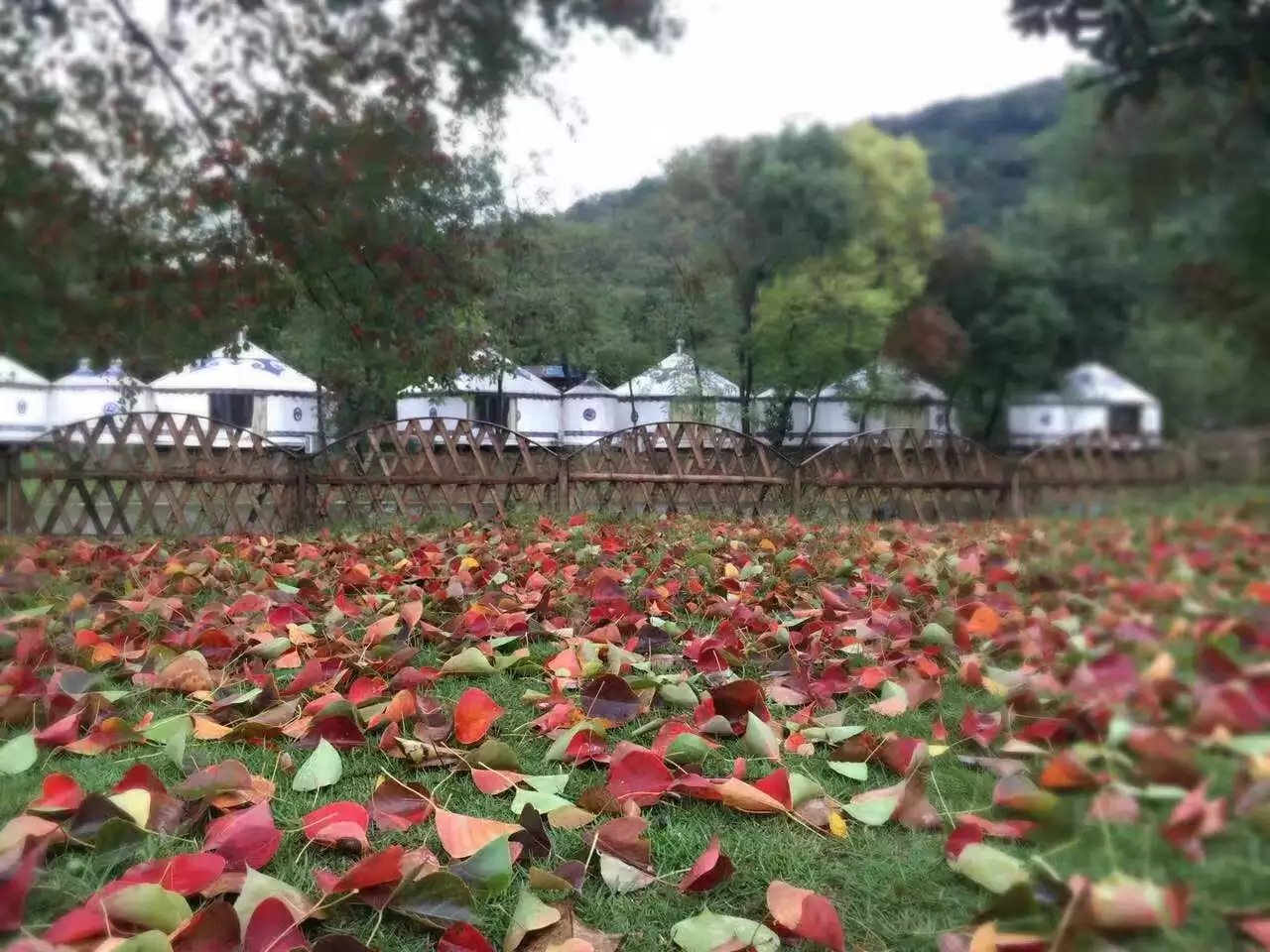 无锡马山太湖拓展基地